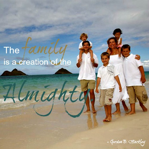 family beach almighty lf